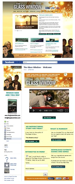 Glass-Window-Case-Study
